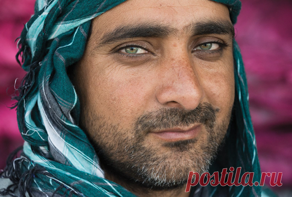 Как использовать цвет в фотографии? 9 идей для крутых кадров | Блог издательства «Манн, Иванов и Фербер»