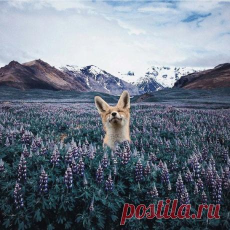 Потрясающее фото
