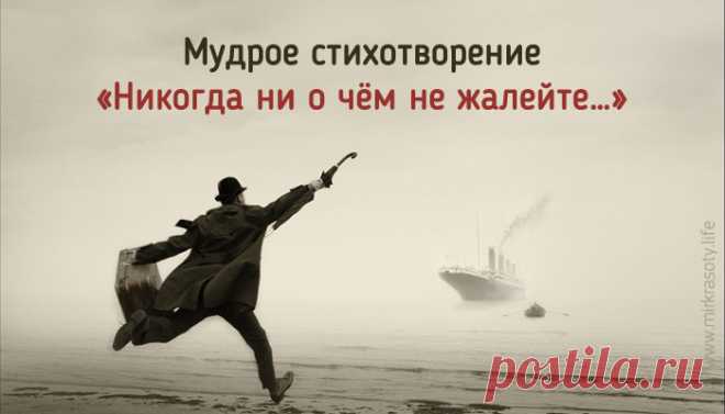 Мудрое стихотворение «Никогда ни о чем не жалейте…»