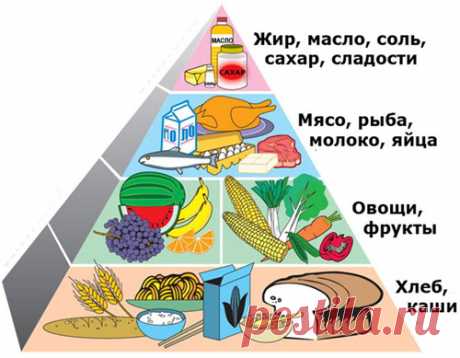 Правильный рацион с помощью Пирамиды питания