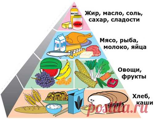Правильный рацион с помощью Пирамиды питания