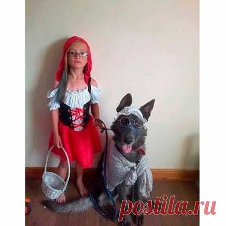 Новогодний костюм для девочки. Красная Шапочка и серый волк