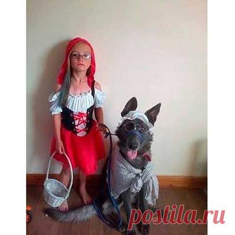 Новогодний костюм для девочки. Красная Шапочка и серый волк