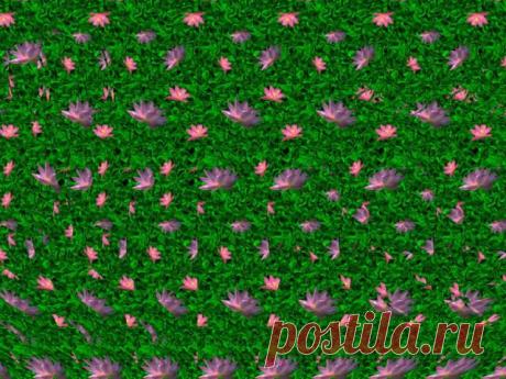 Стереокартинки / Фотошоп и я.