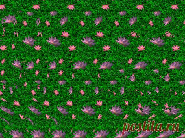 Стереокартинки / Фотошоп и я.