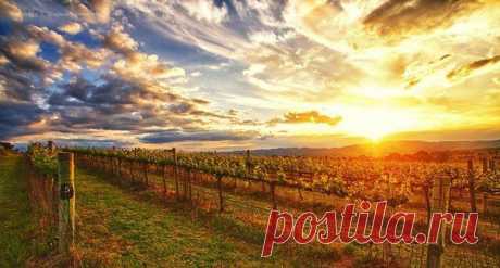 Наполеон Хилл