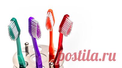 Специалист Путняя: одной зубной щётки для здоровья зубов недостаточно. Специалист дентальной гигиены Станислава Путняя рассказала, что одной зубной щётки для здоровья полости рта недостаточно. Читать далее