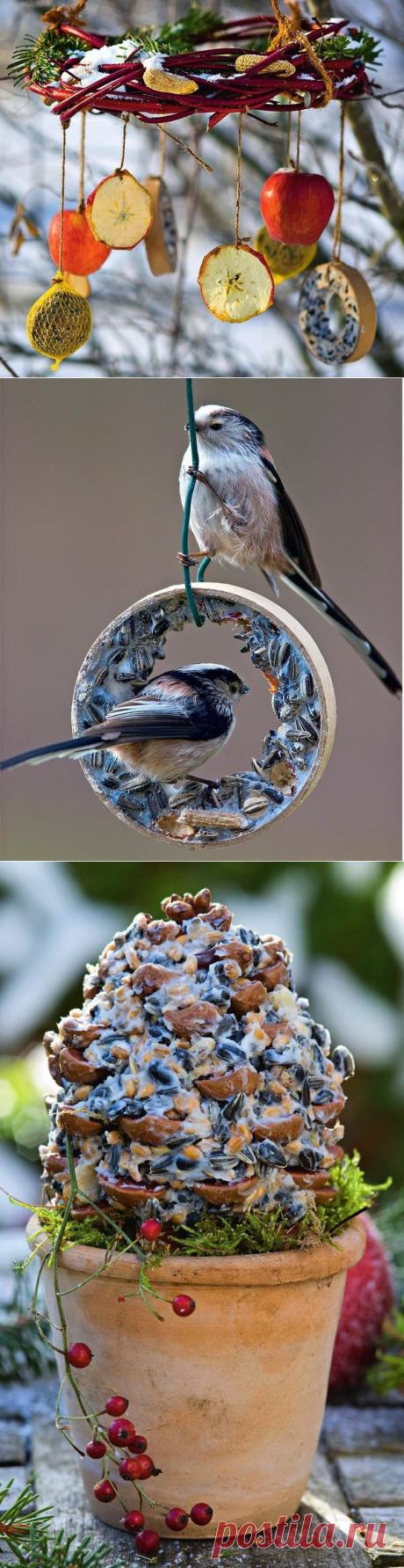 Покормите птиц зимой, или 6 креативных кормушек своими руками / 7dach.ru
