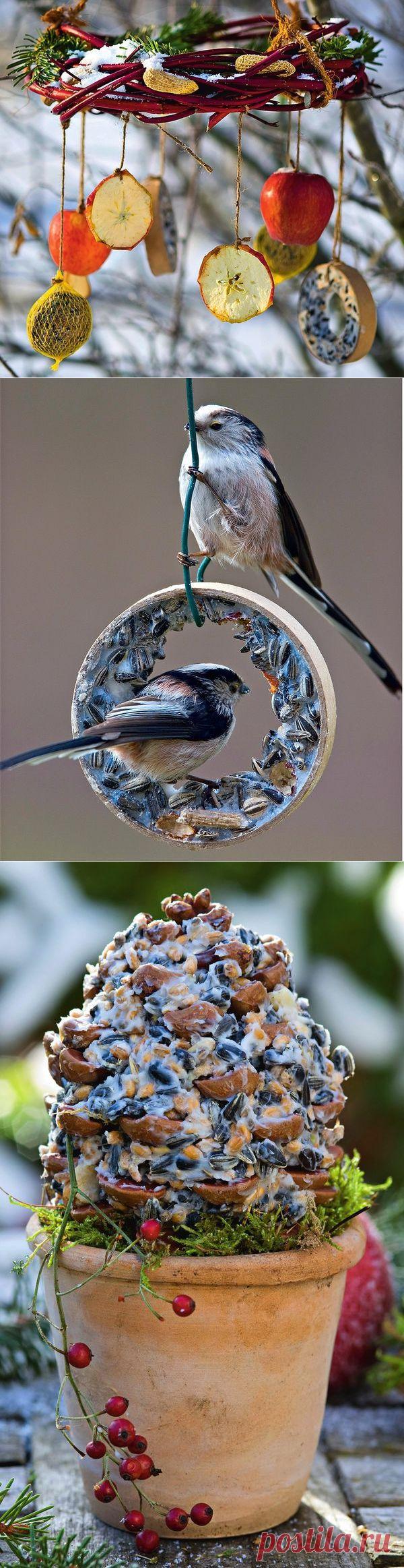 Покормите птиц зимой, или 6 креативных кормушек своими руками / 7dach.ru