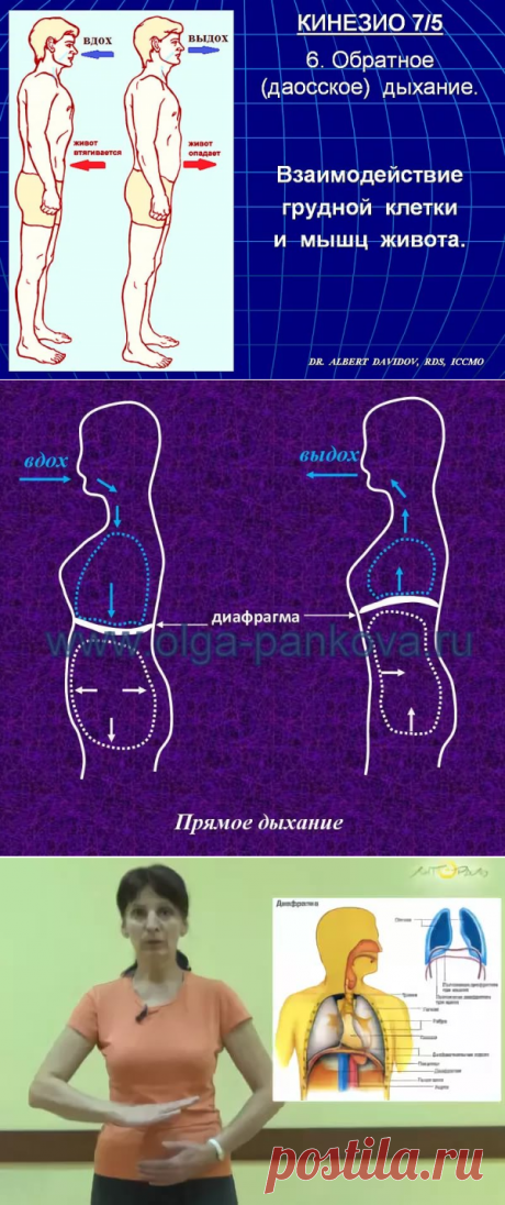 Даосское дыхание
Это упражнения выполняется сидя на полу или на стуле. Наложите ладони одна на другую ( у женщин левую ладонь вниз, у мужчин правую). Поместите ладони на низ живота. Дышите спокойно.. На вдохе втягивайте в себя живот,  представляя, что вы вдыхаете энергию воды и  наполняете ею низ живота. На выдохе живот выпячивайте вперед. Повторите упражнение три-пять раз.При выполнении этого упражнения вы должны почувствовать тепло внизу живота. Если вы ощущаете холод ил...