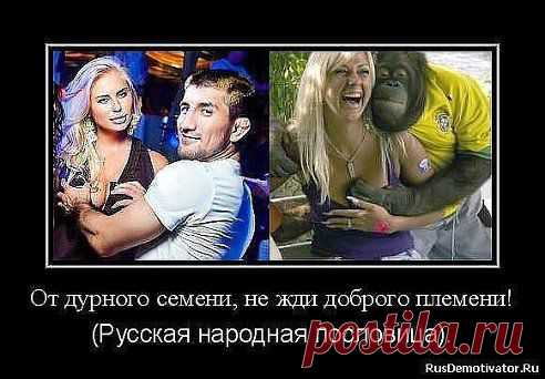 Народная мудрость