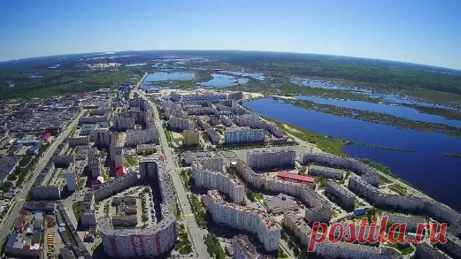 Без названия (13)