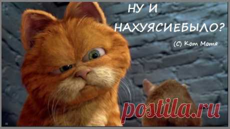 Блог Кота Моти.