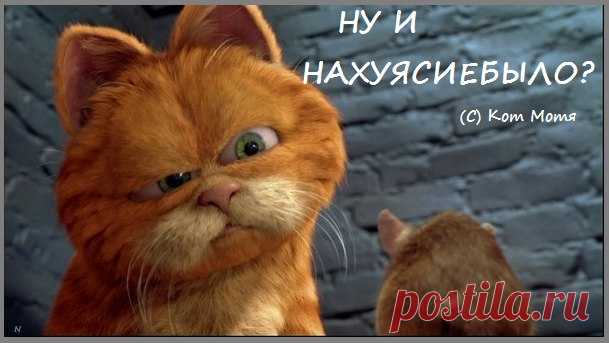 Блог Кота Моти.