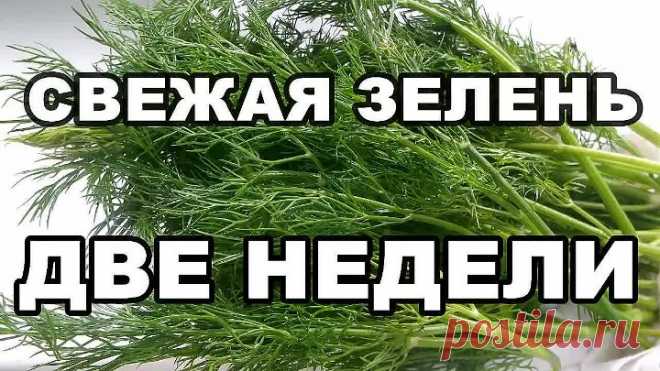 Маленькие хитрости которые помогут Вам сохранить зелень свежей.