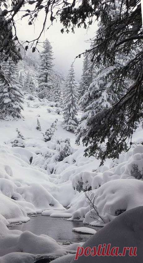 Winter Wonderland Bulgaria  
от John Spooner  |  Pinterest • Всемирный каталог идей