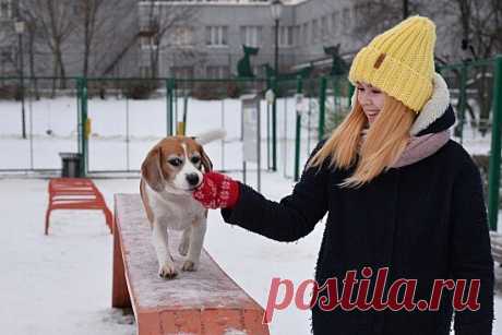Как домашние животные помогают улучшить самочувствие - Косметология Мы все слышали о психотерапевтической кушетке и о динамике между клиентом и его психотерапевтом. Но, возможно, менее известной является все более популярная пет-терапия. И нет, это не терапия для вашего питомца — это относительно новое явление терапии для людей, в котором участвуют животные Эти вмешательства с участием животных (AAI), в которых также участвует обученный специалист-человек,
