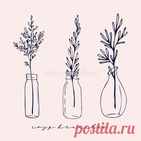 Set Of Glass Vases And Jars Stock Vector - Illustration Of Transparent 9EA