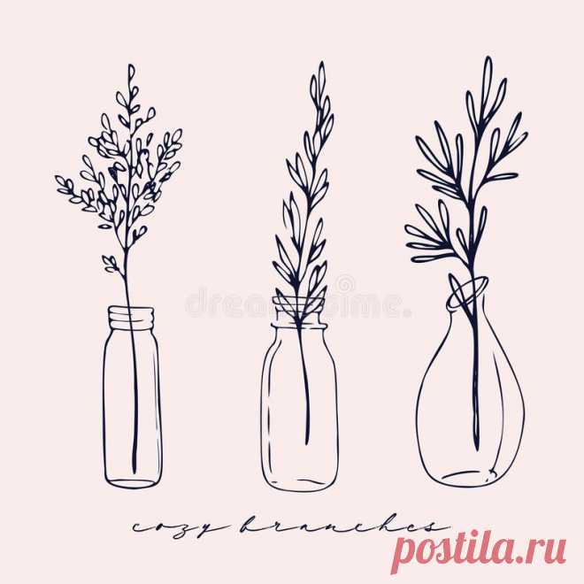 Set Of Glass Vases And Jars Stock Vector - Illustration Of Transparent 9EA