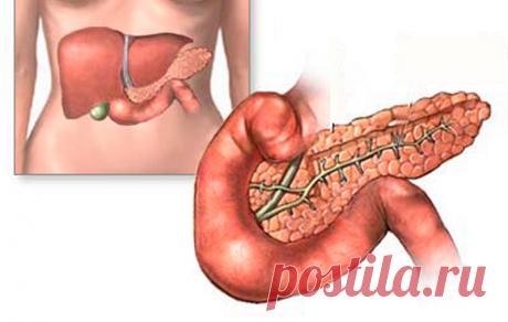 С поджелудочной железой шутить нельзя! Благодаря этому рецепту она станет неуязвимой 
Проблемы с пищеварением могут сказываться на состоянии здоровья всего организма. Поэтому их обязательно нужно решать: наладить режим питания, сформировать правильное меню и следовать ему.

При сбоях …