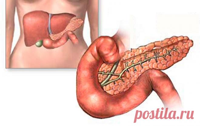 С поджелудочной железой шутить нельзя! Благодаря этому рецепту она станет неуязвимой 
Проблемы с пищеварением могут сказываться на состоянии здоровья всего организма. Поэтому их обязательно нужно решать: наладить режим питания, сформировать правильное меню и следовать ему.

При сбоях …