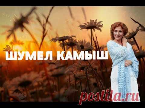💥🙏ГОЛОС ПРОБИРАЕТ ДО МУРАШЕК!!!🙏 (Шумел камыш)