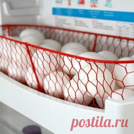 9 способов сохранить порядок в холодильнике, о которых Вы должны знать
