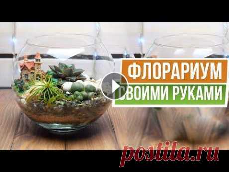 Красивый Флорариум своими руками 0:00 МК по созданию флорариума своими руками 0:19 Что нужно для создания флорариума 2:00 Декор для флорариума 2:50 Флорариум Студия объемной рекламы п...