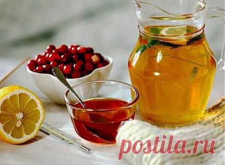 Зоя Пестова
