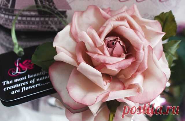 getImage (640×419)