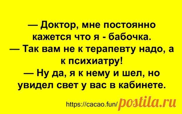 (30) Замечательные анекдоты про врачей, женщин и дельфинов - Сказка для двоих - 2 января - 43358171086 - Медиаплатформа МирТесен