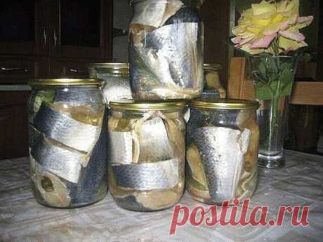 Солёная, маринованная, копчёная рыбка легко!