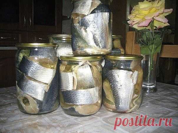 Солёная, маринованная, копчёная рыбка легко!