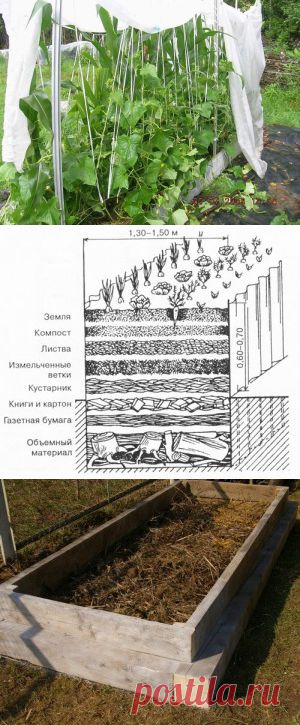 Теплые грядки для огурцов | Самоцветик