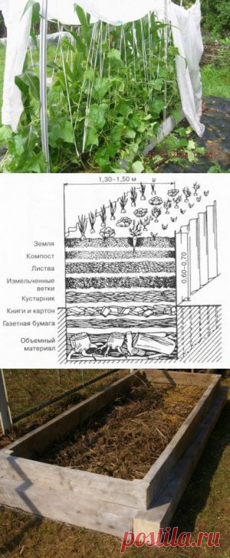 Теплые грядки для огурцов | Самоцветик