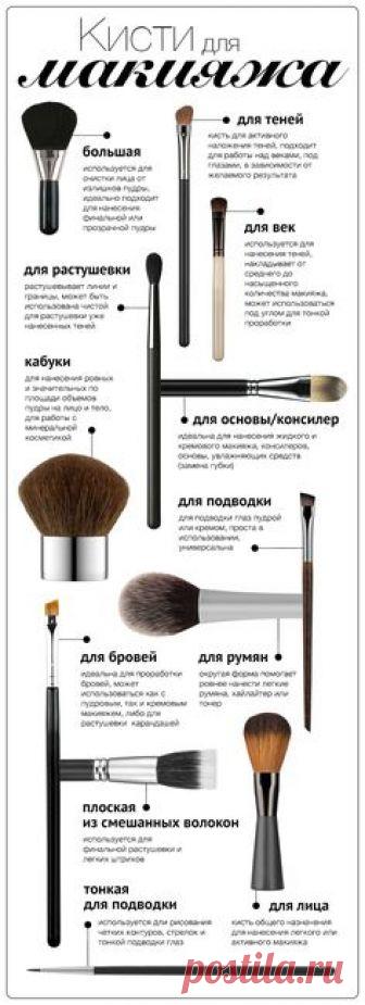 Инфографика: 12 кистей для макияжа - Я Покупаю