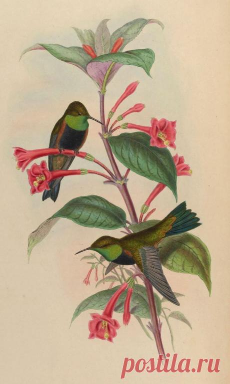 Найдено на сайте Uploaded by user.