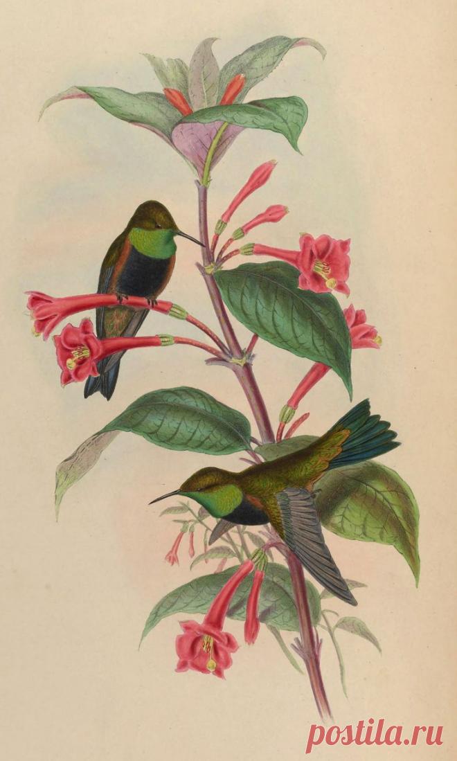 Найдено на сайте Uploaded by user.