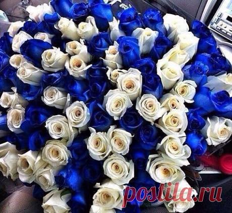 Букет из 101 розы Микс 45000 тенге, длина цветка 90 см.
Доставка по Алматы и Казахстану