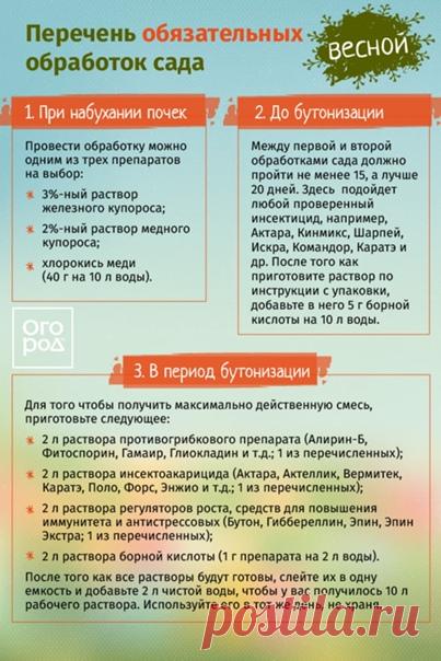 Не забудьте про три обязательные весенние обработки сада!