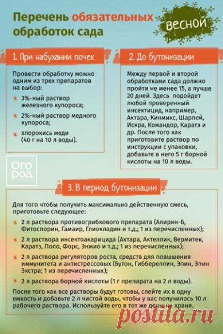 Не забудьте про три обязательные весенние обработки сада!