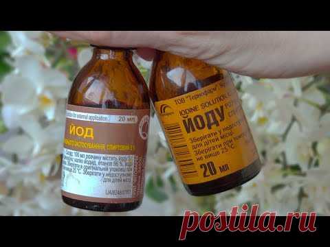 ЛЕЙ ЙОД орхидеи СКОЛЬКО КАПЕЛЬ! ЙОД редкая подкормка орхидеи! ЙОД СРАЗУ орхидеи ОТЗЫВ В ПОЛЬЗУ!