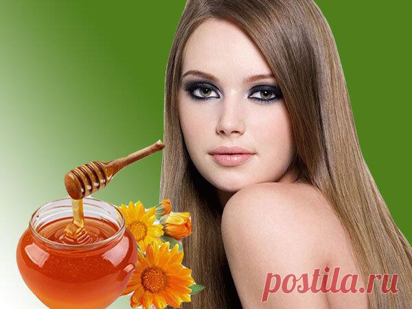 Мед от выпадения и для роста волос: попробуйте, не пожалеете! | Блог о секретах женской красоты | Яндекс Дзен