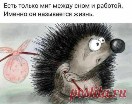 Интересный Краснодар