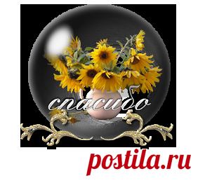 Поиск схем и описаний моделей по картинке