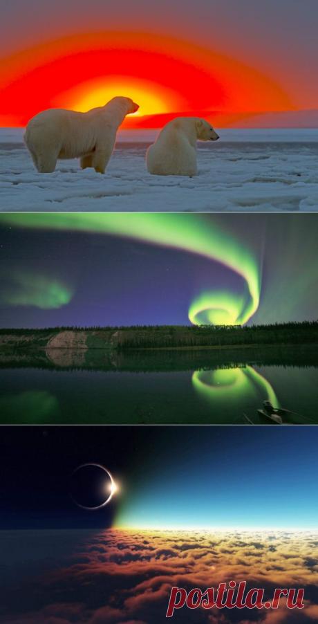 Без фотошопа. 30 самых удачных фотографий января.