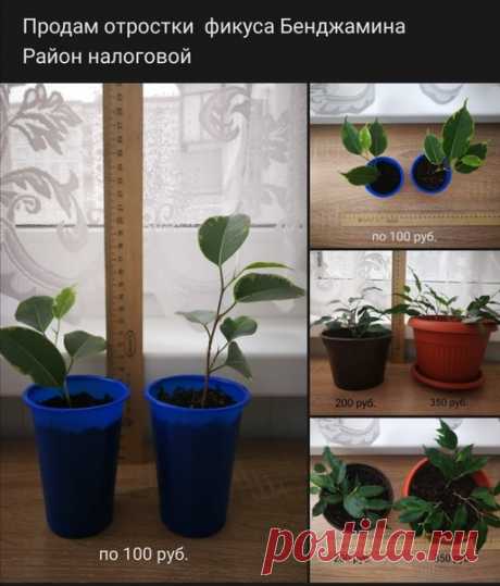 Татьяна Стукалина