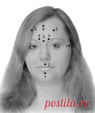 Точки Красоты Точка 1 Эта точка расположена перед ухом. В большинстве случаев проще массировать всю зону перед ухом вертикальными движениями: сверху вниз, если вы хотите расслабиться, успокоиться, и снизу вверх, если желаете взбодриться. С этой точки обычно начинается сеанс массажа, если вы очень устали и хотите снять напряжение. Этой же точкой обычно заканчивают процедуру. Массаж этой точки также оказывает мощное регулирующее действие на все функции организма. Массирование этой точки поможет...