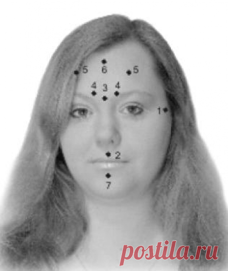 Точки Красоты Точка 1 Эта точка расположена перед ухом. В большинстве случаев проще массировать всю зону перед ухом вертикальными движениями: сверху вниз, если вы хотите расслабиться, успокоиться, и снизу вверх, если желаете взбодриться. С этой точки обычно начинается сеанс массажа, если вы очень устали и хотите снять напряжение. Этой же точкой обычно заканчивают процедуру. Массаж этой точки также оказывает мощное регулирующее действие на все функции организма. Массирование этой точки поможет...