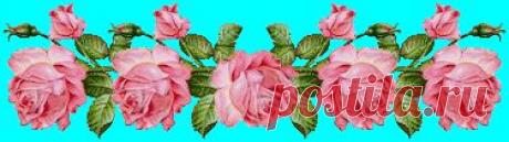 Омоложение, долголетие, бессмертие